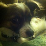@mark_burito - Instagram