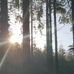 Mark Burns - @markburns250294 - Instagram
