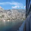 Mark Burrows - @mark.burrows - TikTok