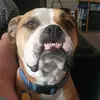 Mark Burstein - @mark.burstein - TikTok