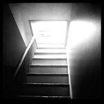 Mark Bussell - @marksbussell - Instagram