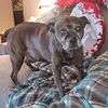 Mark Butrum - @mark.butrum4 - TikTok