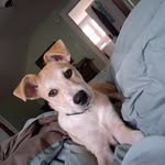 Birdie Byrd - @mark.byrd.56 - Instagram