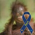 Mark Cade - @markcade1 - Instagram