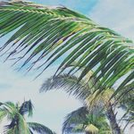 Mark Callan - @markcallan_ - Instagram