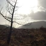 Mark Callan - @mark.callan.73 - Instagram