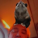 Mark Campbell - @dirtygutters - Instagram