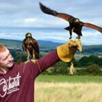 Mark Canavan - @canavanmark - Instagram