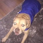 Mark Canavan - @markpops4 - Instagram