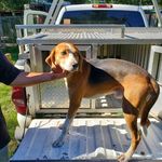 Mark Cannady - @markcannady - Instagram