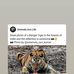 Mark Kennedy - Facebook