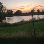 Mark Cantrill - @mcantrill2 - Instagram