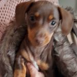 mark - @markcapes1966 - Instagram