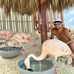 Mark Capozzi - Facebook