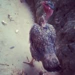 Mark Cargo - @robinaser - Instagram