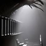 Mark David Carrera - @pnxxnyph - Instagram