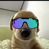 MarkCarrera - @markcarreraa - TikTok