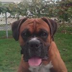 Mark Carrigan - @mark.carrigan.39 - Instagram