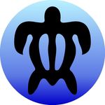 Mark Carson - @markcarsonhawaii - Instagram