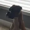 jasoncaserta5 - @mark_caserta - TikTok