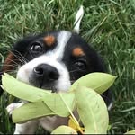 mark caserta - @mark__caserta - Instagram