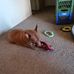 Mark Caskey - Facebook