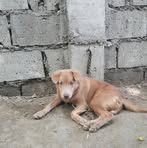 Mark Castillo - Facebook