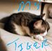 Mark Castonguay - Facebook
