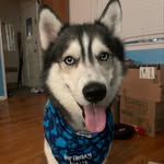 Mark Cavaliere - @cavaliere_mark - Instagram