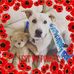 Mark Cavey - Facebook