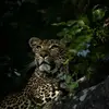 markcawood379 - @markcawood379 - TikTok