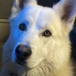 Mark Cayton - @markportcity - Instagram