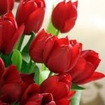 Mark caywood - @caywoodmark52864 - Instagram