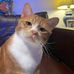 Mark Cedeño II - Facebook