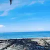 Ml player - @mark.celeste4 - TikTok