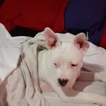 Mark Cerda - @markcerda7978 - Instagram