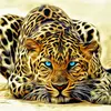 markchalker915 - @mmc2667288 - TikTok