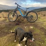Mark Chalmers - @maltmaker1 - Instagram