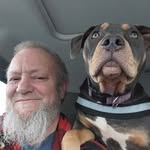 Mark Chapman - @markchapman78 - Instagram