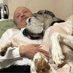 Mark Chatfield - @chatfield7262 - Instagram