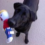 Mark Cheek - @markcheek - Instagram