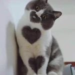 Mark Cheek - @markcheek8 - Instagram