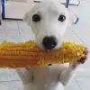markleesjuicycheeks - @markleesjuicycheeks - TikTok