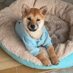 Mark Chen - @markchen968 - Instagram