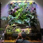 Mark Chen - @tmk_plant_daddy - Instagram