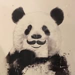 Mark Chen - @markthefatshark - Instagram