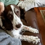 Mark Chickering - @markchickering - Instagram