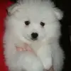 Mark Chin - @mark.chin8 - TikTok