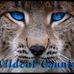 Mark Chinn - Facebook