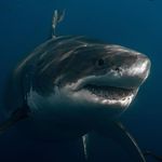Mark Christman - @maxamusc2008 - Instagram